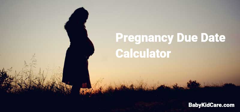 Pregnancy Due Date Calculator