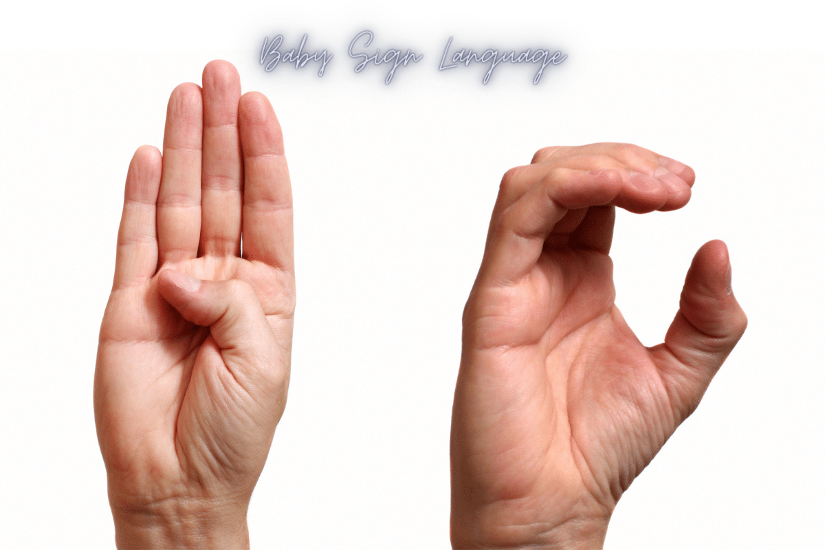 baby sign language for potty training